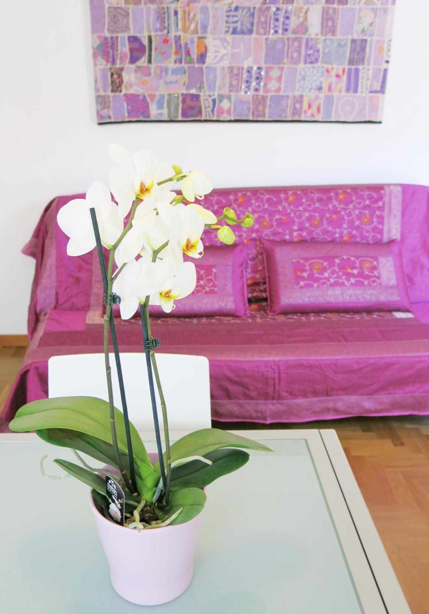 Residence Amarein Каорле Екстер'єр фото